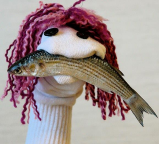 Avatar de l’utilisateur