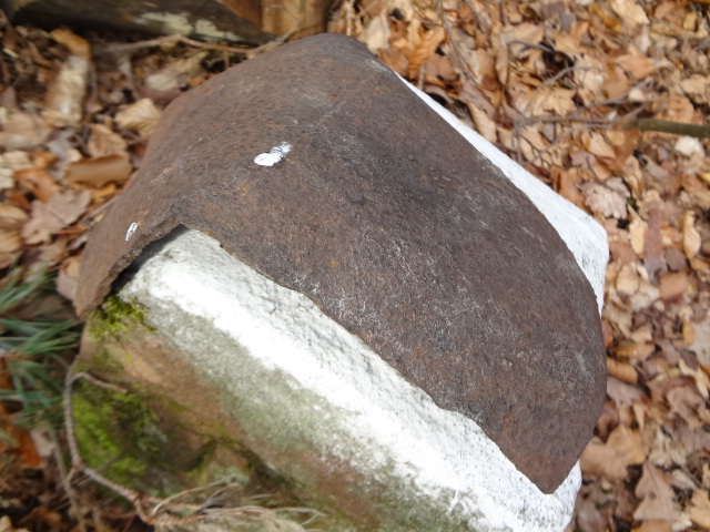 DSC01733.JPG
