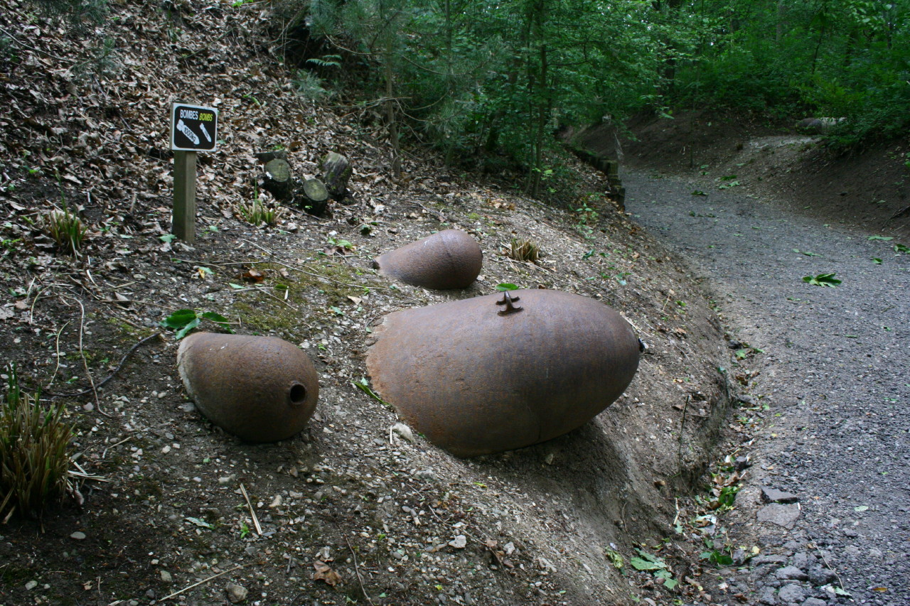 IMG_6860_1.JPG