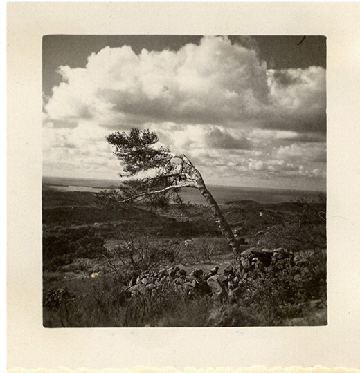 9C.JPG