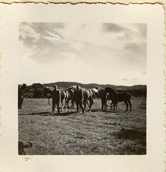 9A.JPG