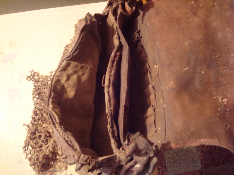 DSC08543 - Copie.JPG