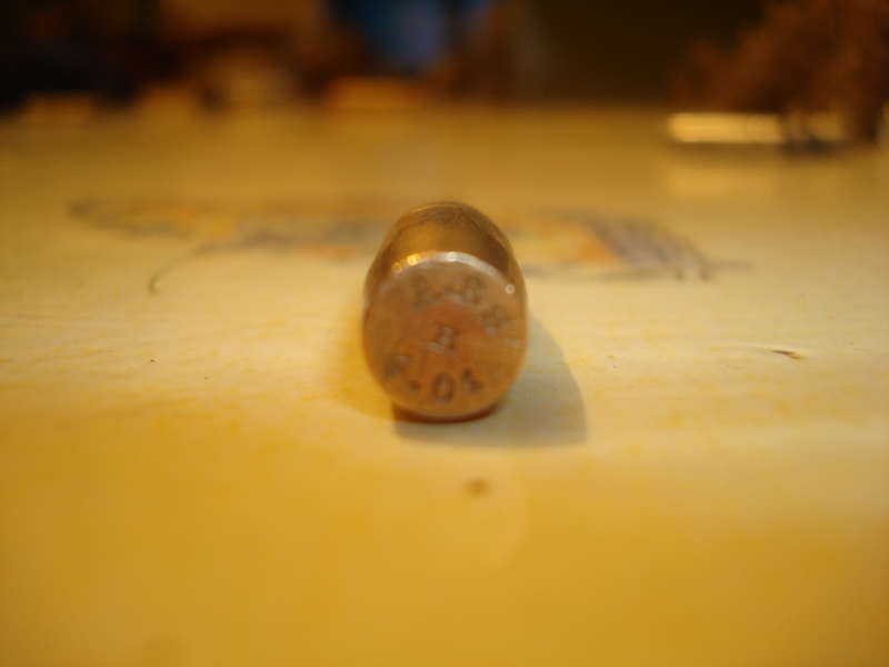 DSC08595 - Copie.JPG
