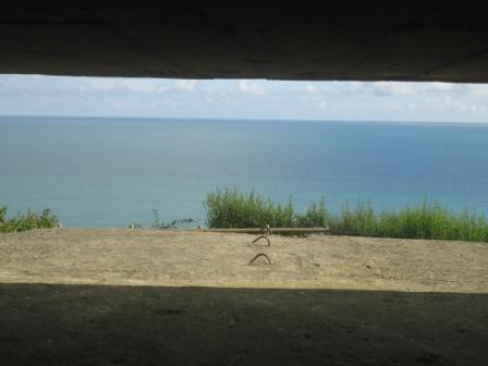 dsc01110cphoto4.jpg