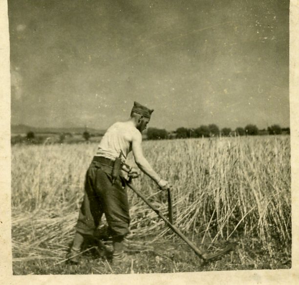 8 - Pasching.jpg