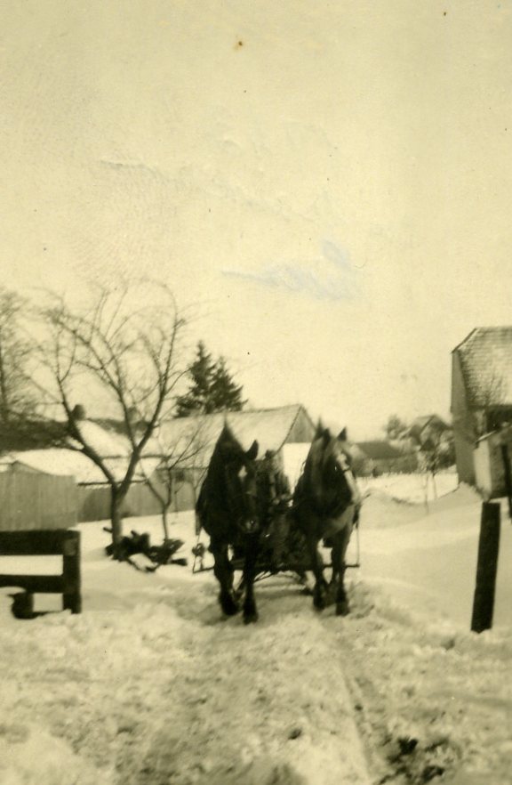 'hiver...En traineau.jpg