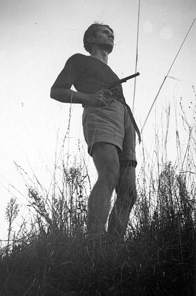 397px-Guido_Pasolini.jpg