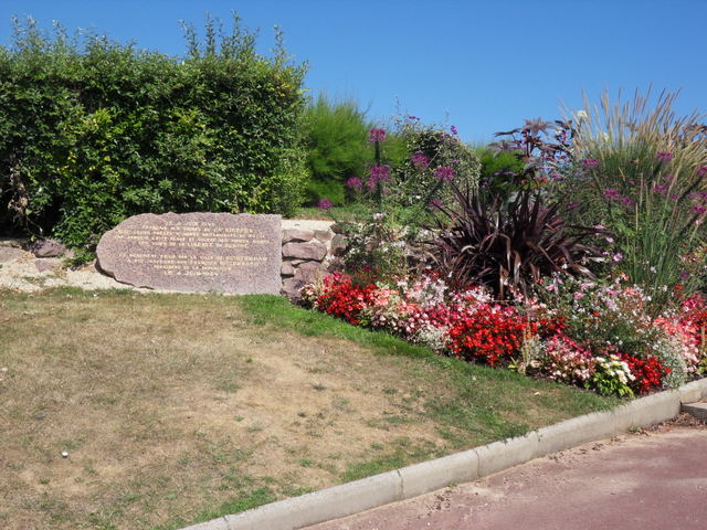 SDC10753.JPG