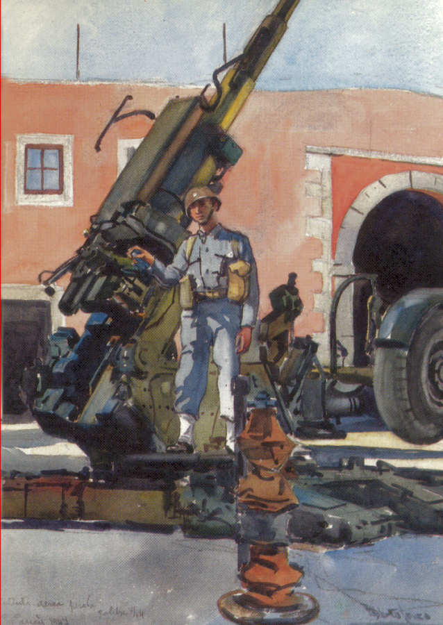 portugal Militaria4.jpg