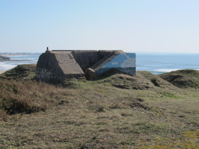 IMG_5211.JPG