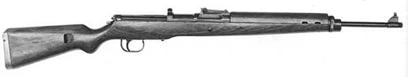 arme_allemande_gewehr_43.jpg