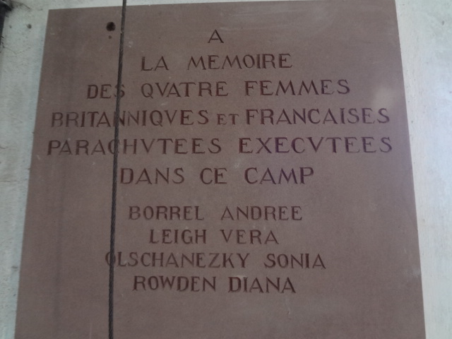 DSC01137.JPG