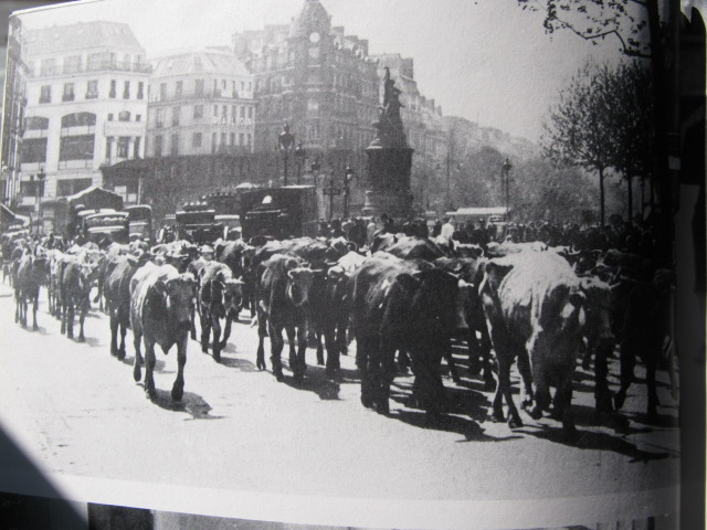 Grand Bi 089.jpg