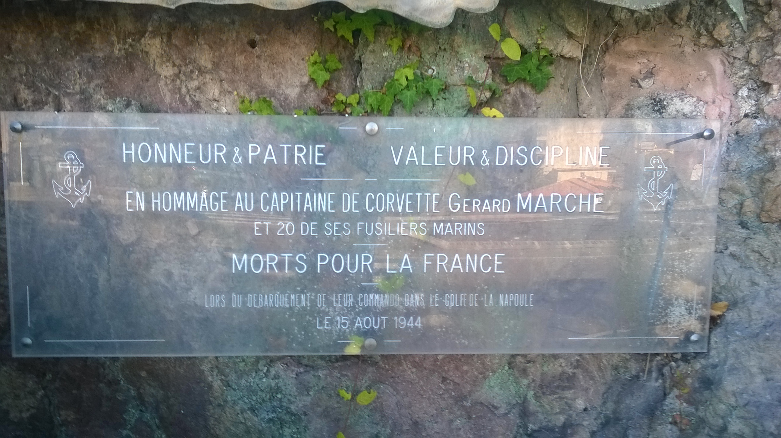 WP_20140731_005[1].jpg