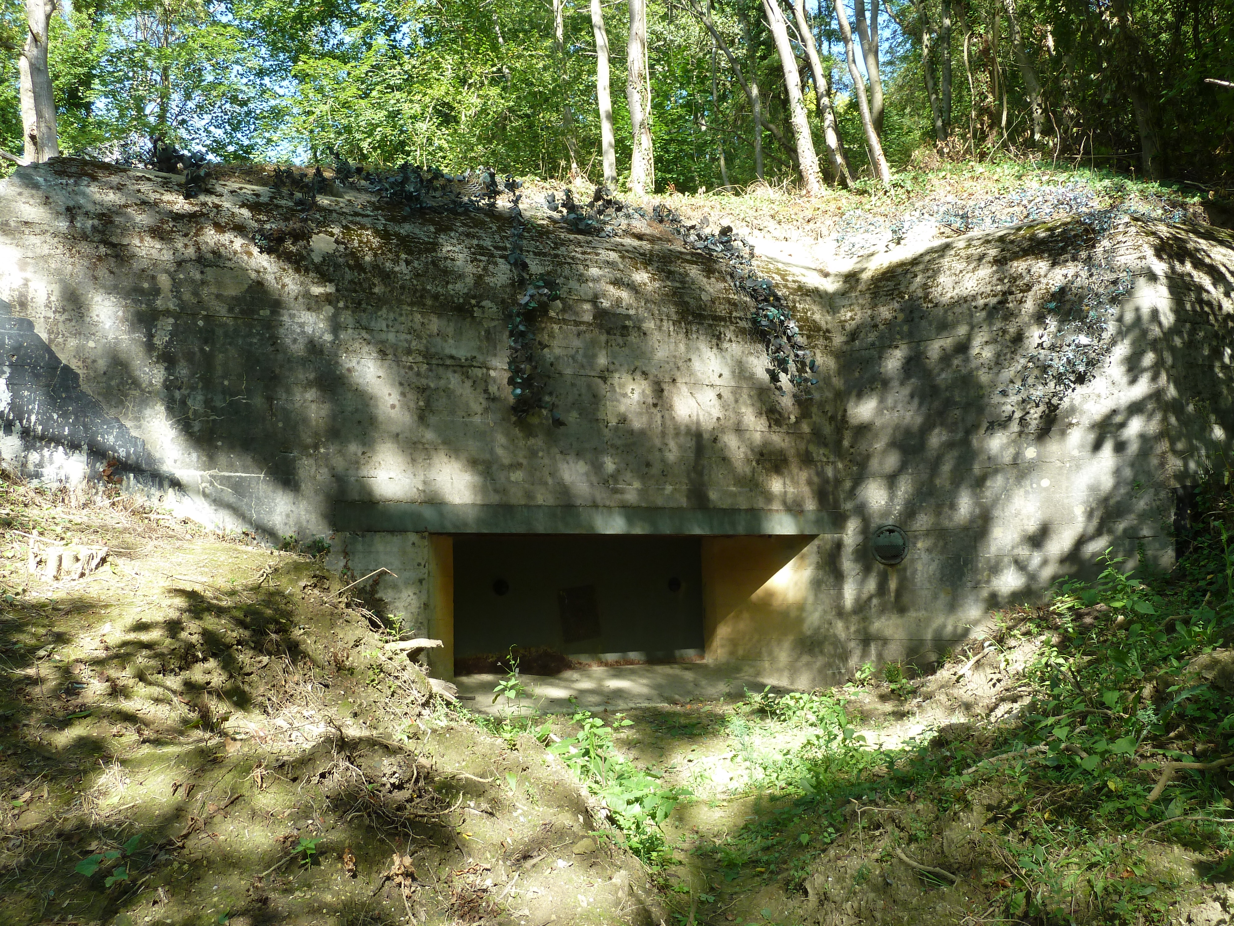 P1010189.JPG