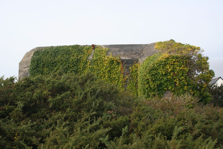 IMG_5442_1.jpg