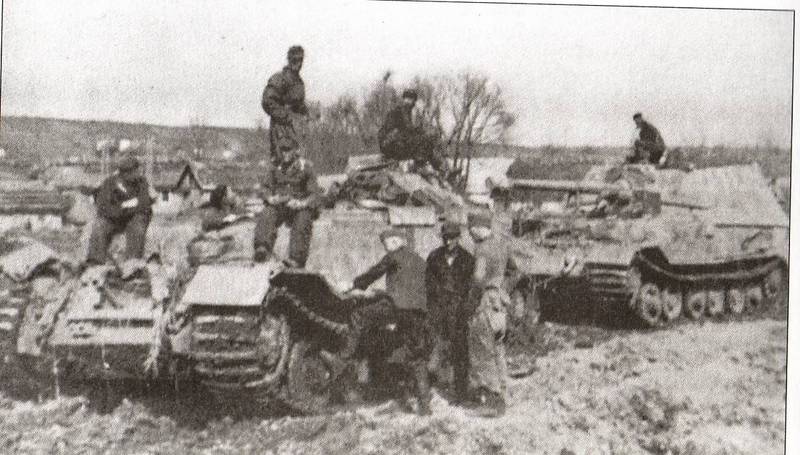 ferdino1.jpg