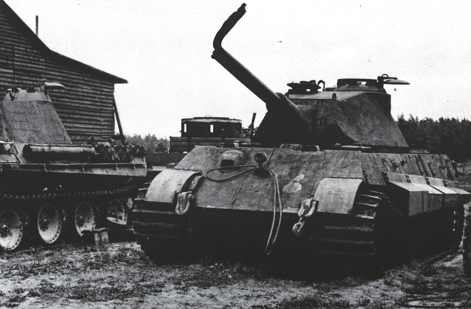 porschetigerresized9ga.jpg