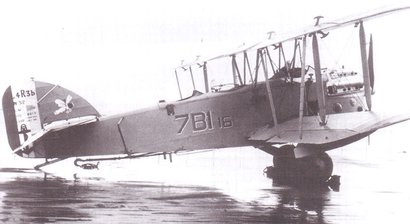 PL 4.jpg