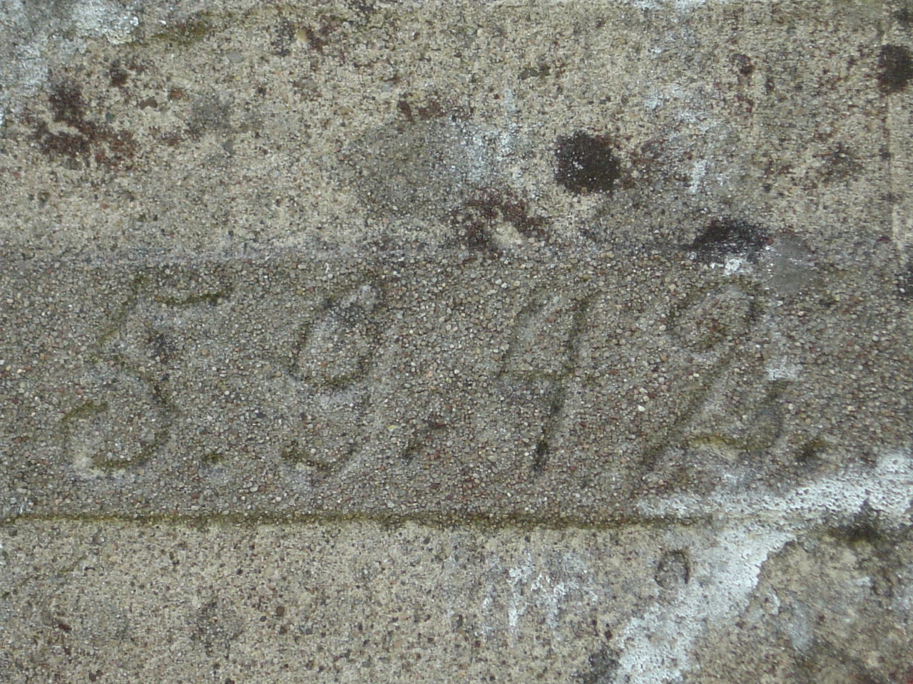 DSC07358.JPG