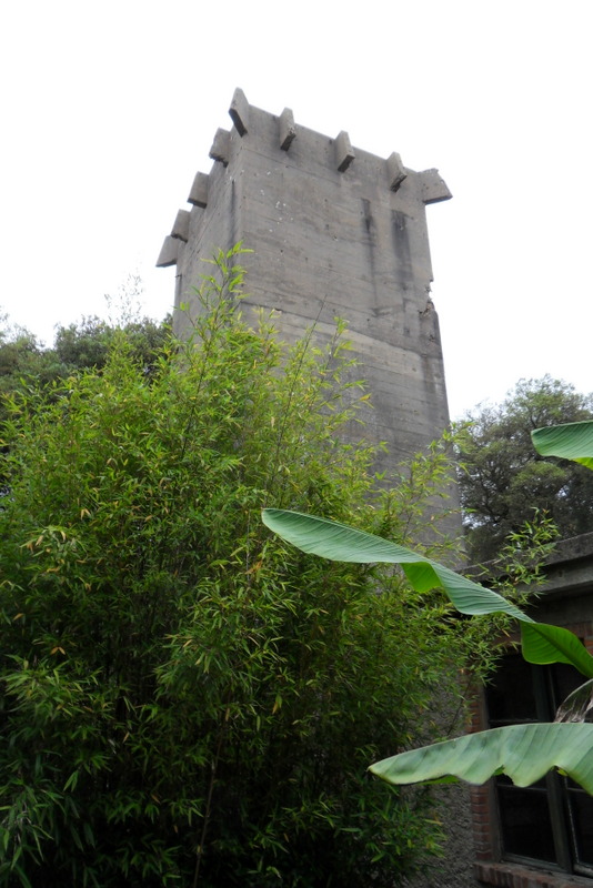 SDC10092.JPG