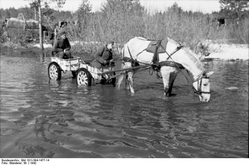 Bundesarchiv_Bild_101I-394-1477-14,_Russland,_Soldaten_in_Anhänger,_Pferd.jpg