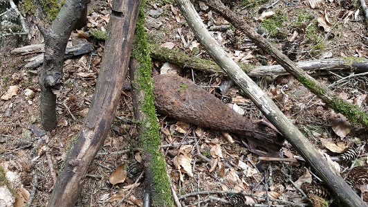 20170709_133718.jpg