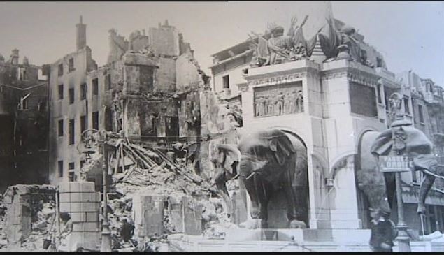 éléphants 2.JPG