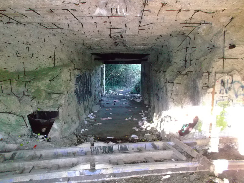 DSCF3544.jpg