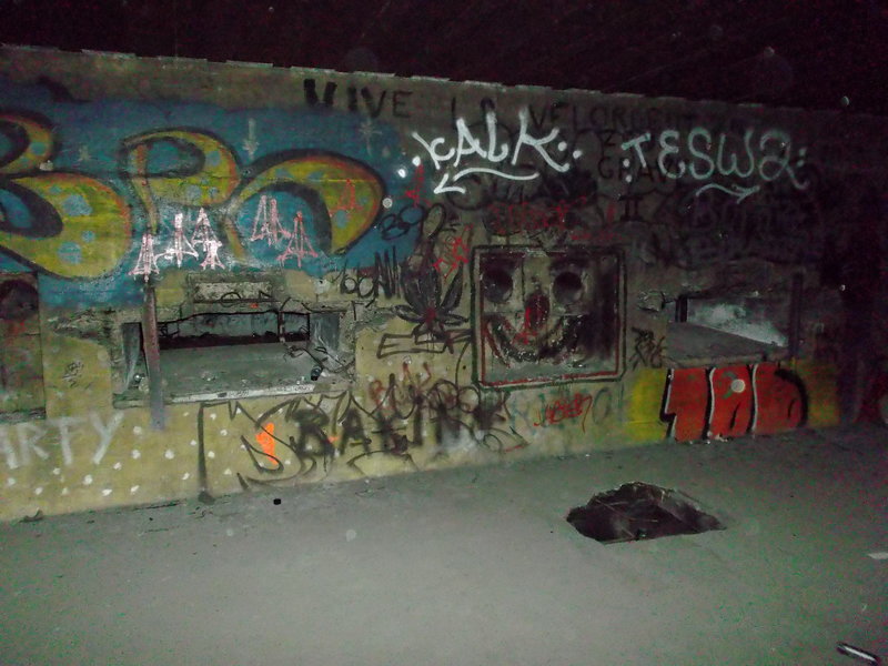 DSCF3551.jpg