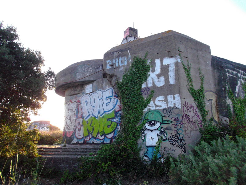 DSCF3554.jpg