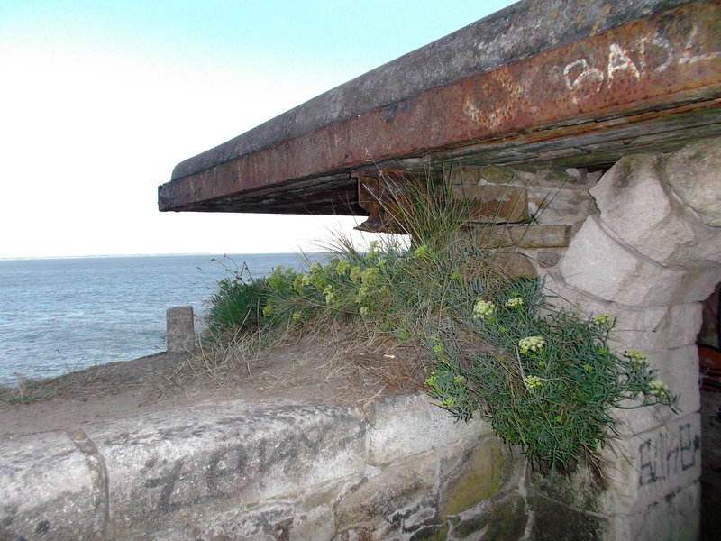 DSCF3558.jpg