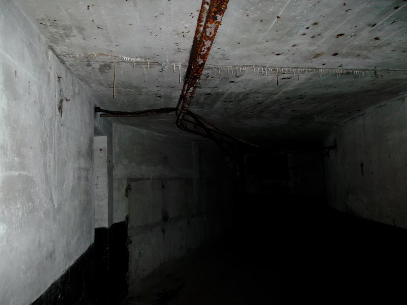 DSCF3568.jpg