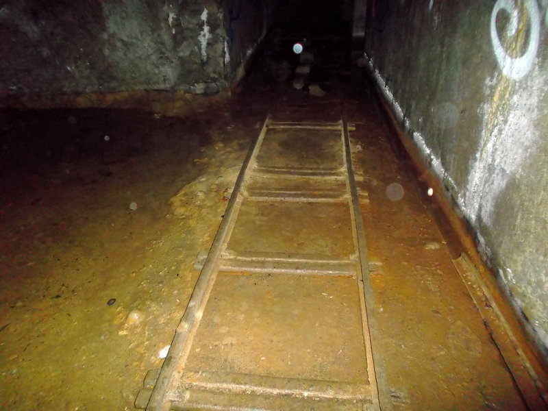 DSCF3582.jpg