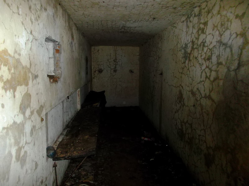DSCF3590.jpg