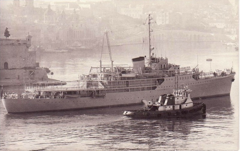 Galeb 1970.jpg