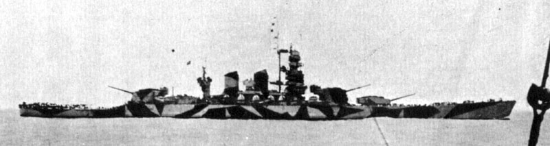 ROMA camoufle.jpg