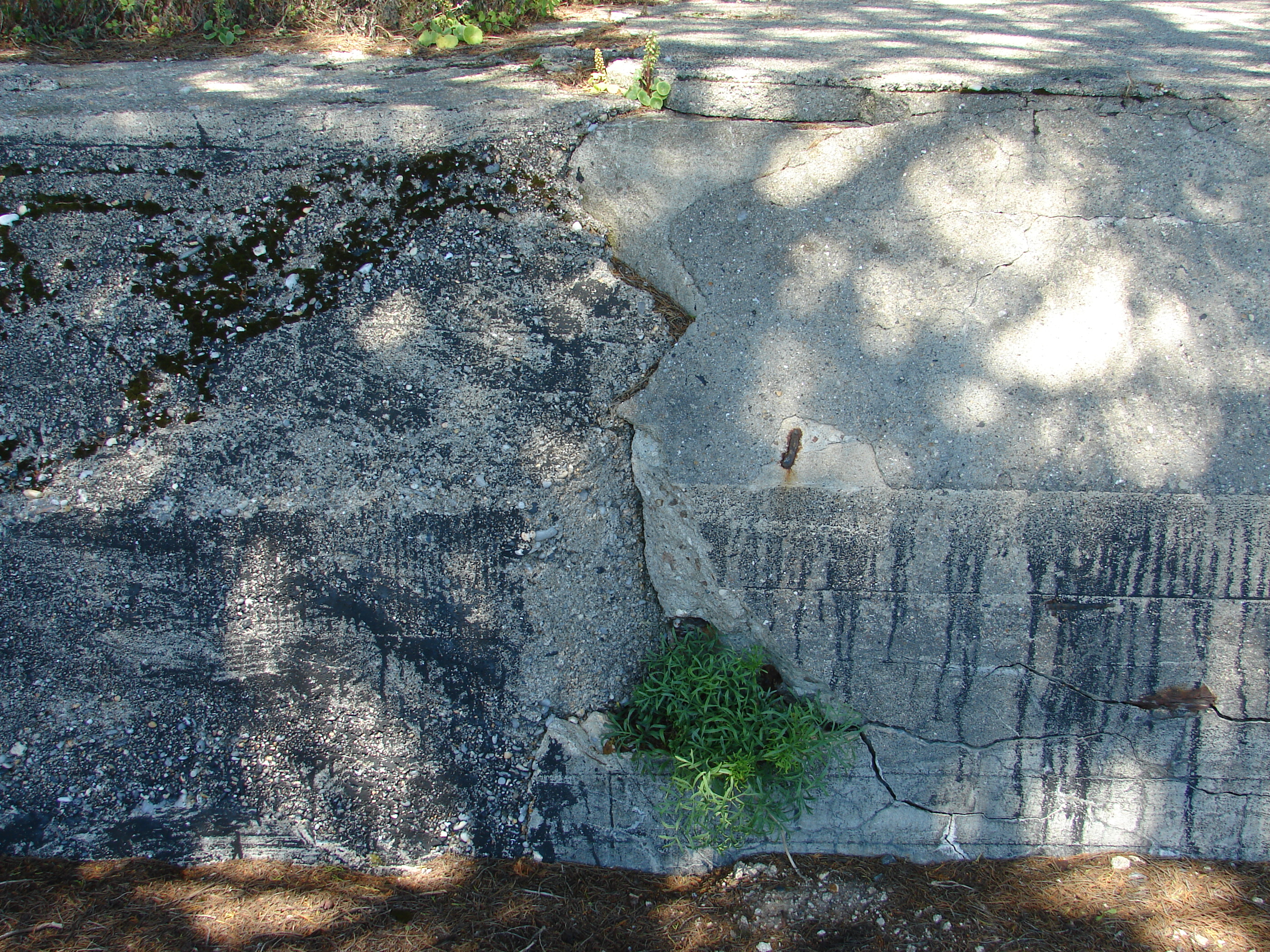 Tu 13_05_2009 (24).JPG