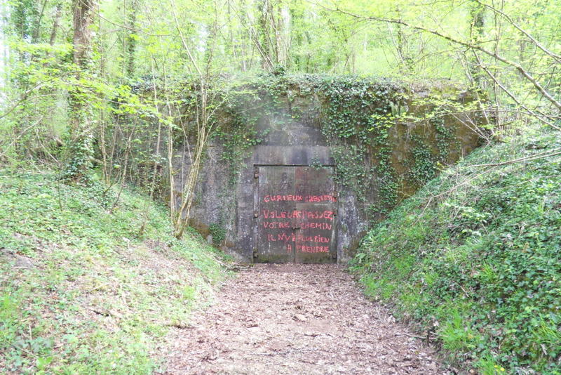 SDC10248.JPG