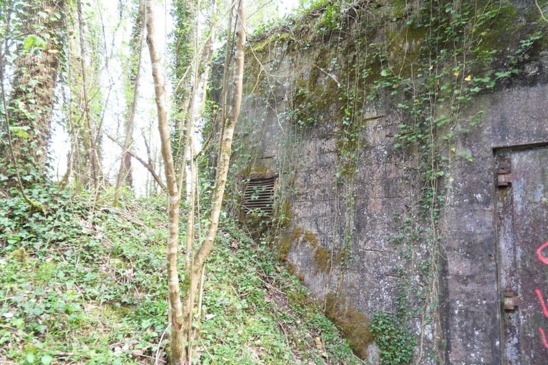 SDC10249.JPG