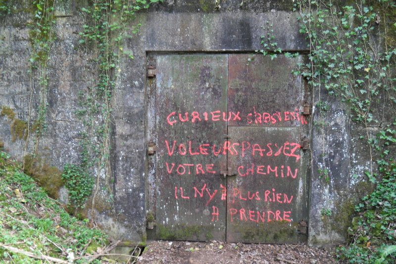 SDC10250.JPG