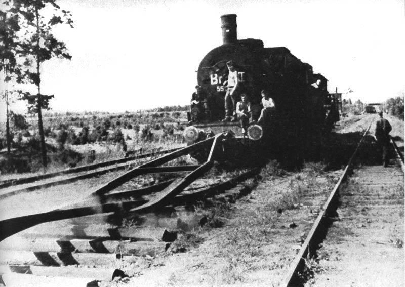 petla-zdobyczna.jpg