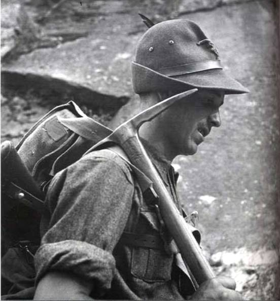 alpion détail.png