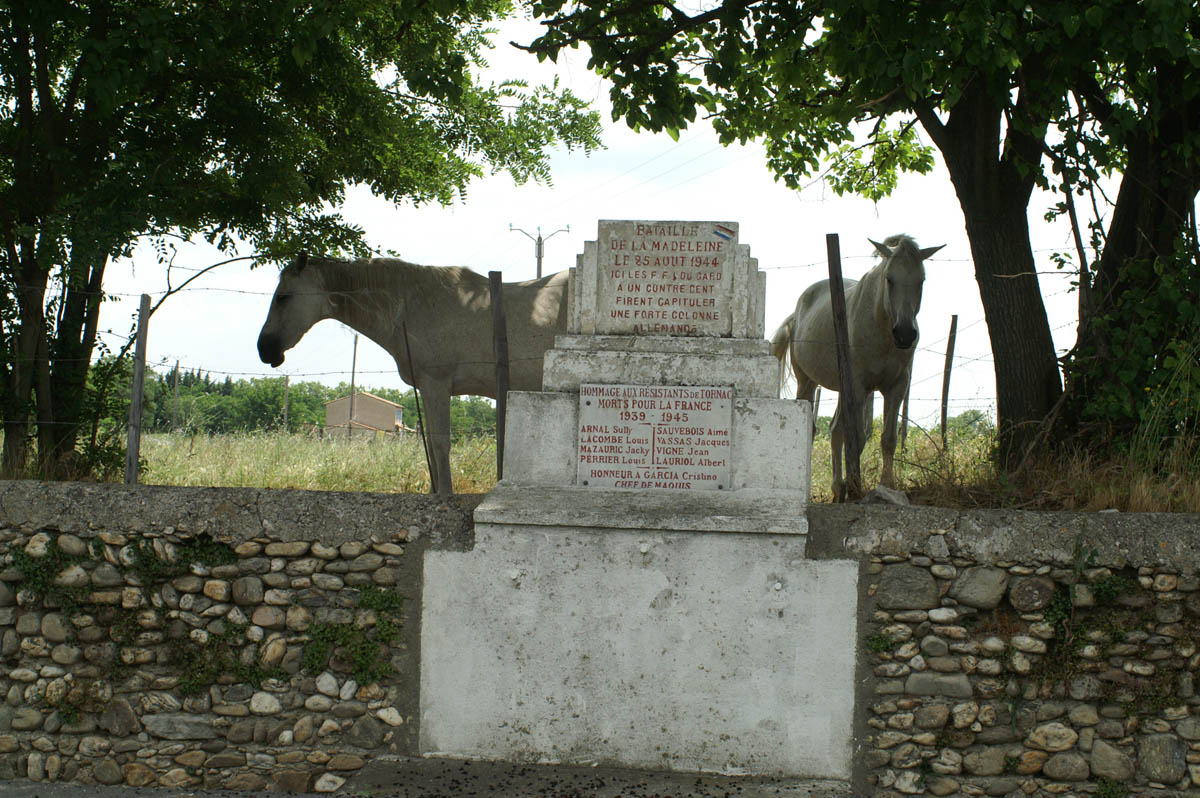 PICT1042-1.jpg