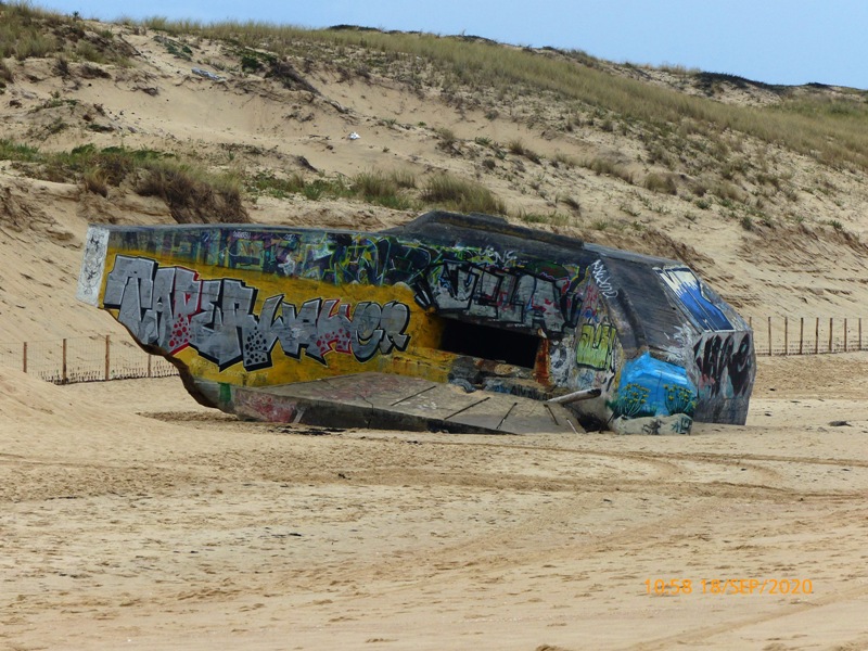 AR31 R667.JPG