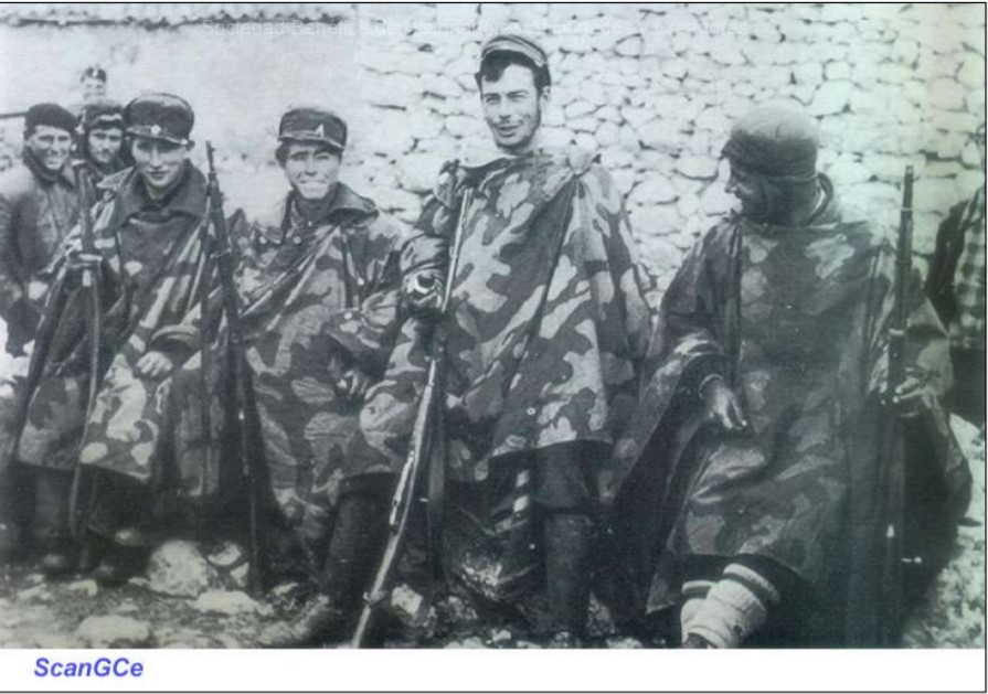 camo.jpg