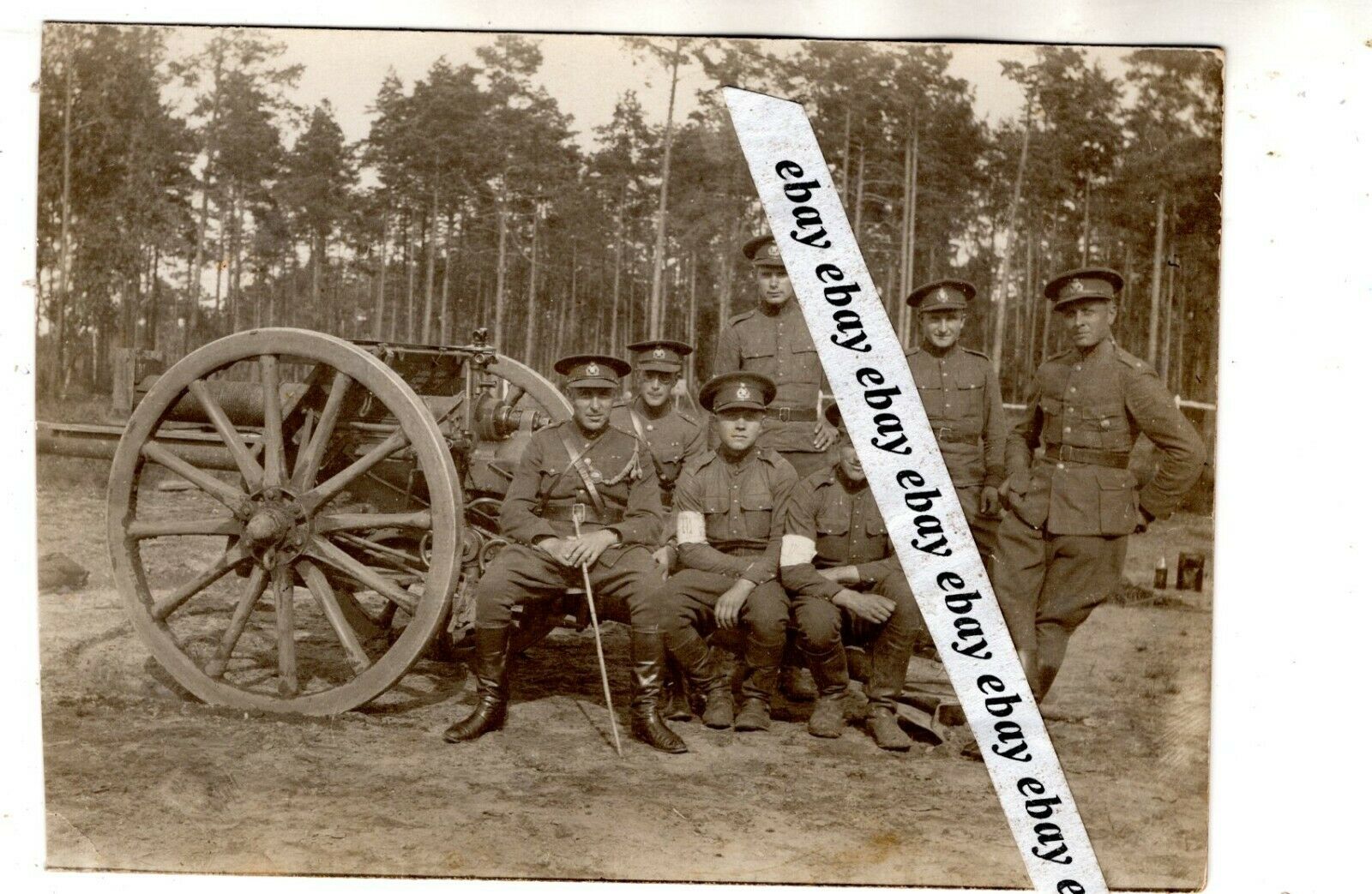canon estonie.jpg