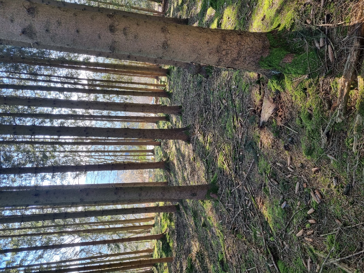 20220303_105619_resize_36.jpg