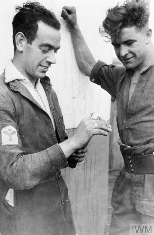 la souris « Eustace » avec des membres de l’équipage du LCT 947, à bord lors des opérations de débarquement, juin 1944..jpg