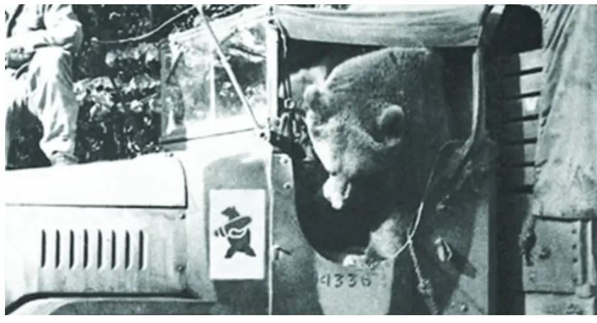 ours adopté par soldats polonais.JPG